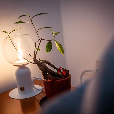 Bed and Breakfast La Vie De Boheme Trieste Esterno foto